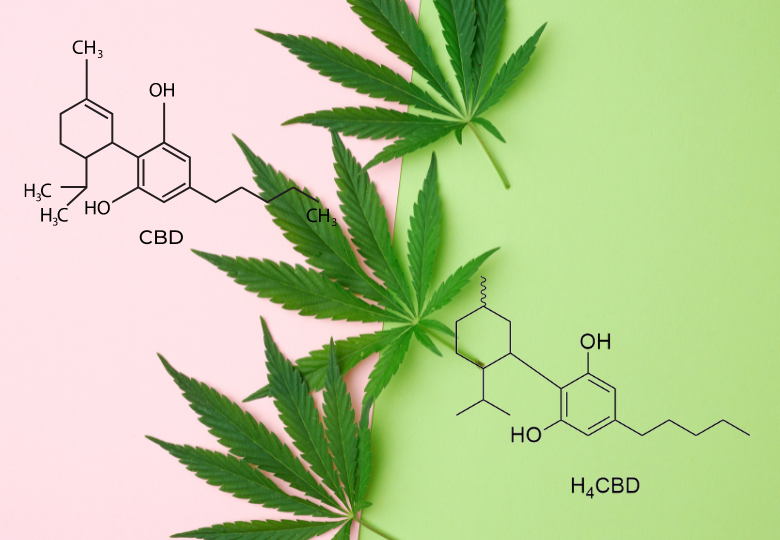 H4CBD vs. CBD